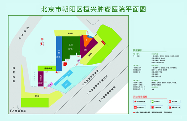 艹逼网站直接进入北京市朝阳区桓兴肿瘤医院平面图